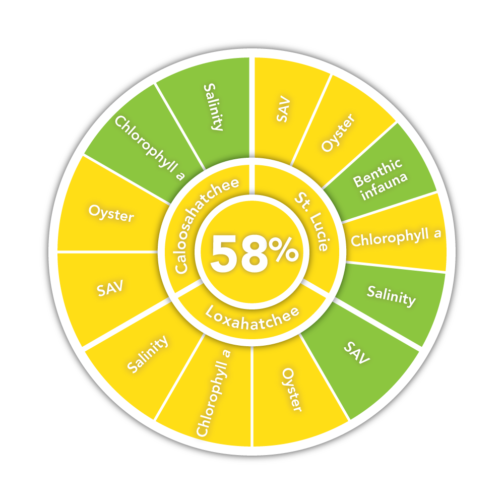 Graphic showing scores by indicator and region. The overall Northern Estuaries score was 58%, which comes in as fair. The three sub regions of Caloosahatchee River Estuary, Loxahatchee River Estuary, and St. Lucie River Estuary also were graded as fair. With only four exceptions, indicators across the three subregions were fair. The exceptions were all rated as good. Those four good ratings were Clorophyll a in Caloosahatchee, Salinity in Caloosahatchee and St. Lucie, Benthic infuana in St. Lucie region, and SAV in Loxahatchee.